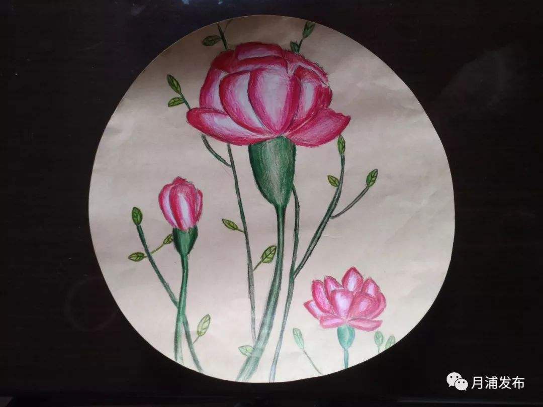 严晓玲，严晓玲 长沙市人社局