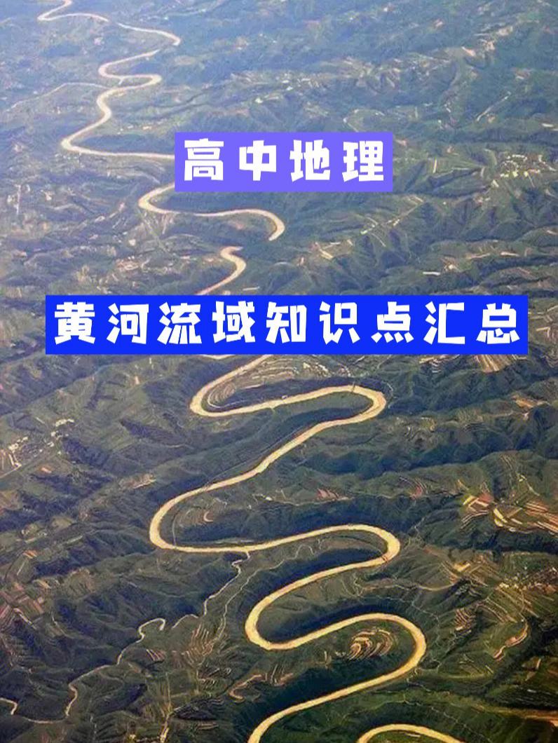 黄河流鱼，黄河流鱼视频