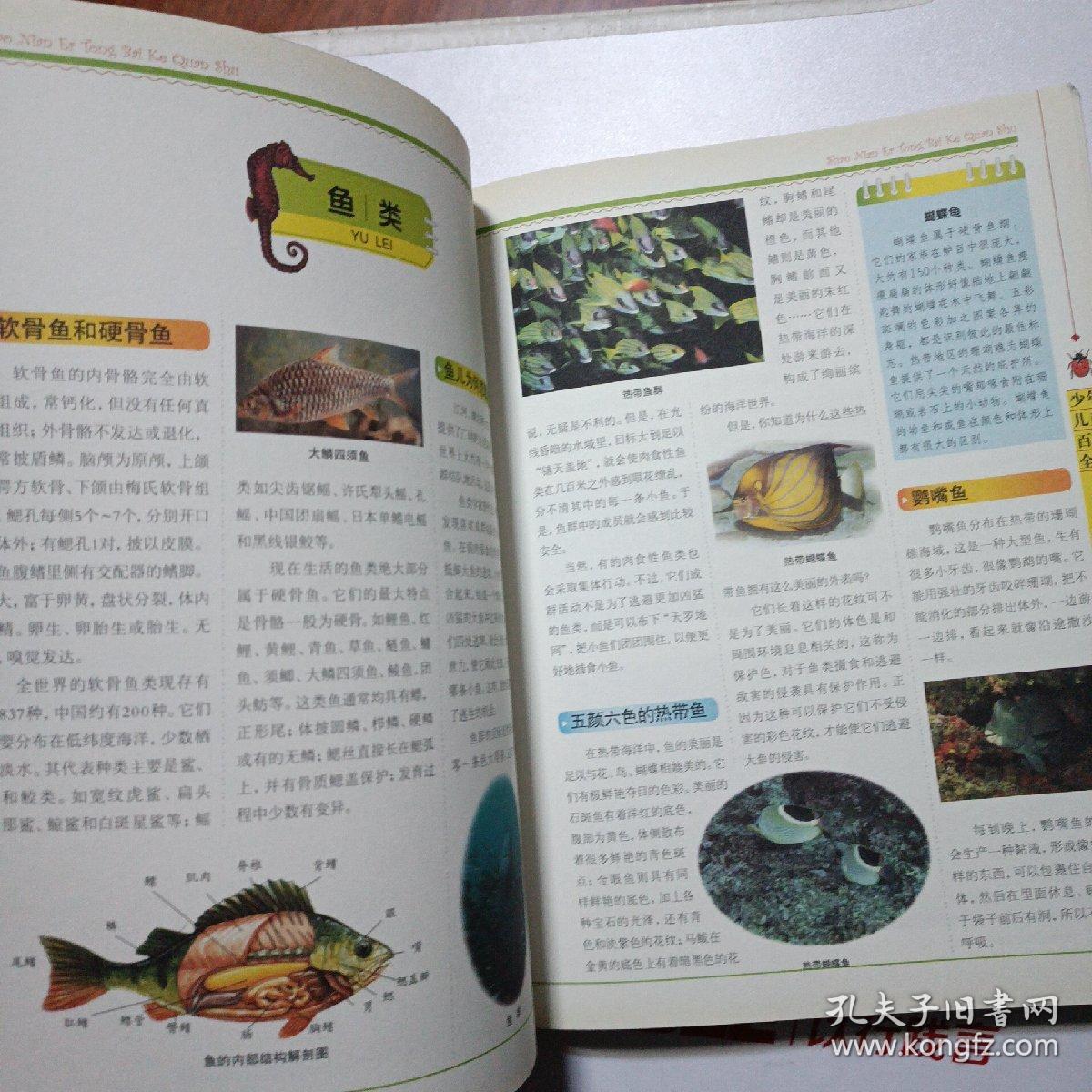 百科全书，百科全书英语
